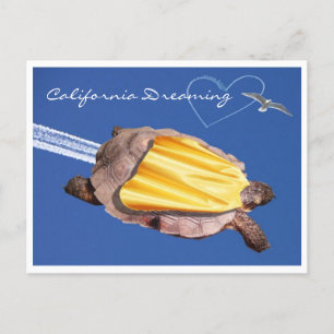 Postal ¡Super! Gammie la tortuga del desierto de Californ