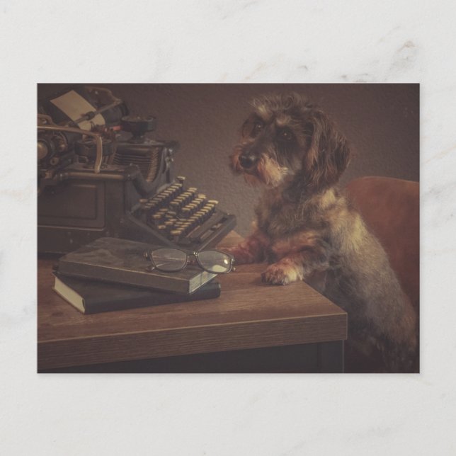 Postal Super leuke teckel kaart (Anverso)