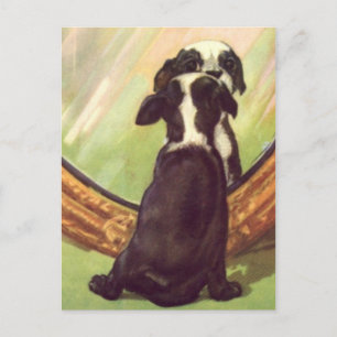 Postal Super Sweet Vintage Baby Boston Terrier