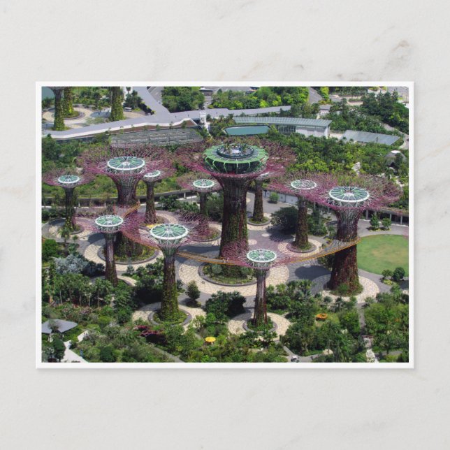 Postal superárboles de singapur (Anverso)