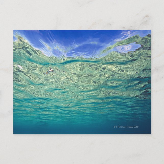 Postal Superficie de mar tópico claro visto desde (Anverso)