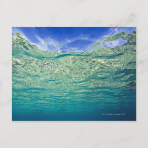 Postal Superficie de mar tópico claro visto desde