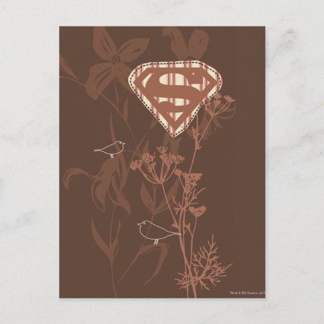 Postal Supergirl Brown Bird (Anverso)