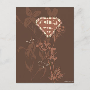 Postal Supergirl Brown Bird
