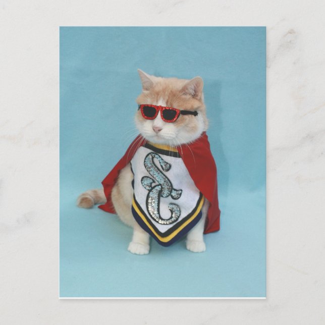 Postal Superhéroe Bubba (Anverso)