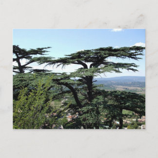 Postal Sur de Francia