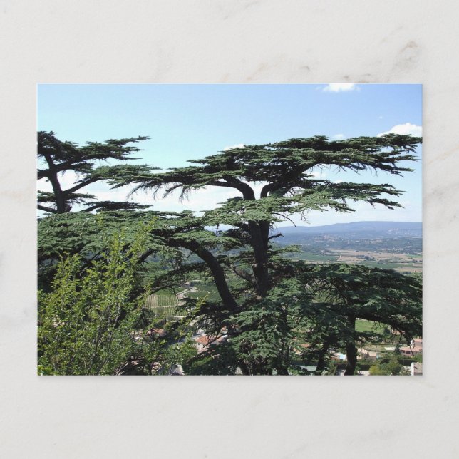 Postal Sur de Francia (Anverso)