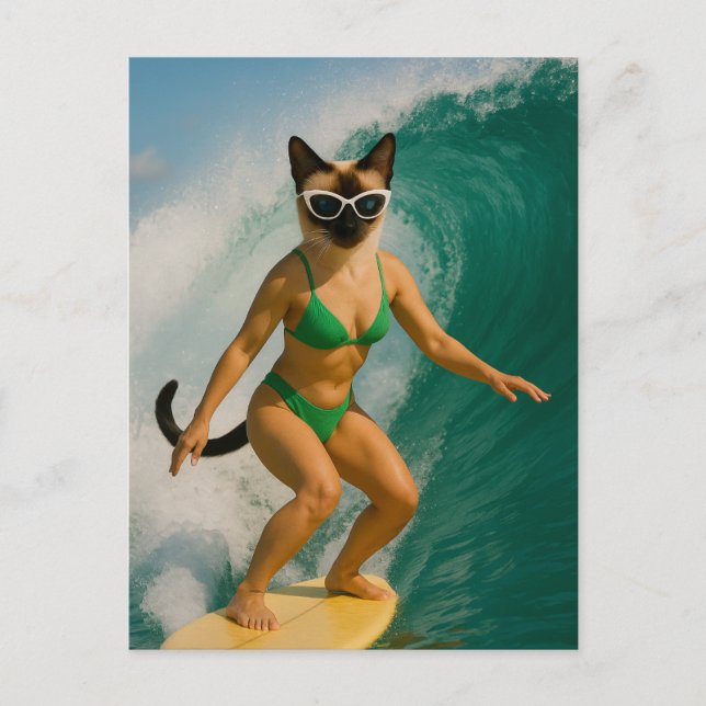 Postal Surf con temática para los amantes del gato siamés (Anverso)