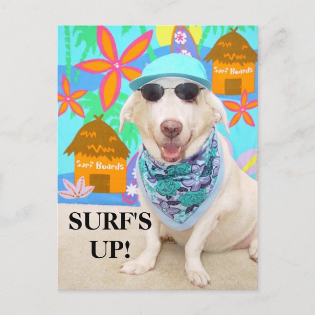 POSTAL ¡SURF ESTÁ LEVANTADO! (Anverso)