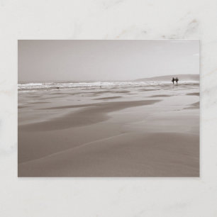 Postal Surf Postcard