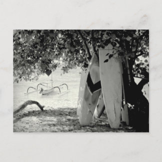 Postal Surfboards bajo un árbol