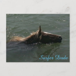 Postal Surfer Dude Postcard