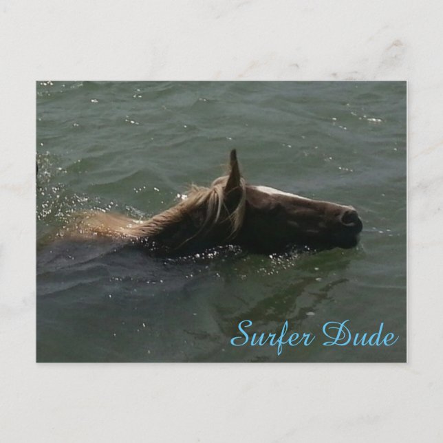 Postal Surfer Dude Postcard (Anverso)