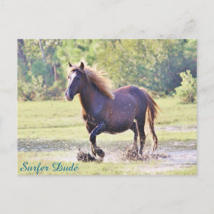 Postal Surfer Dude Wading