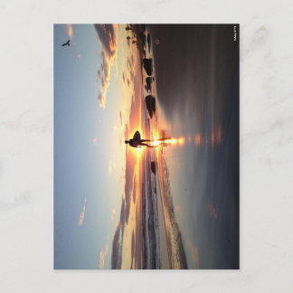 Postal Surfer Sunset Post Card