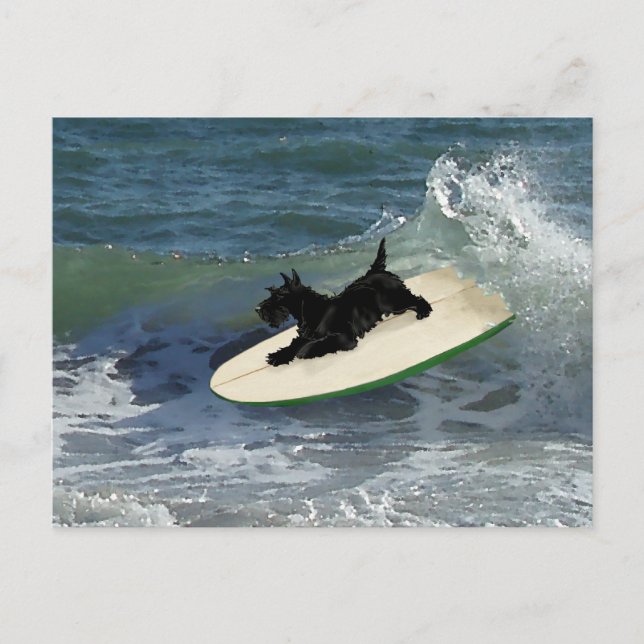Postal Surfing Scottish Terrier (Anverso)