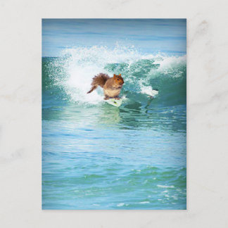 Postal Surfista De La Ardilla En El Mar