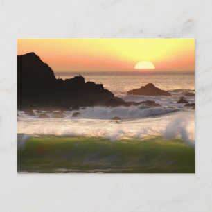 Postal Surfista del atardecer