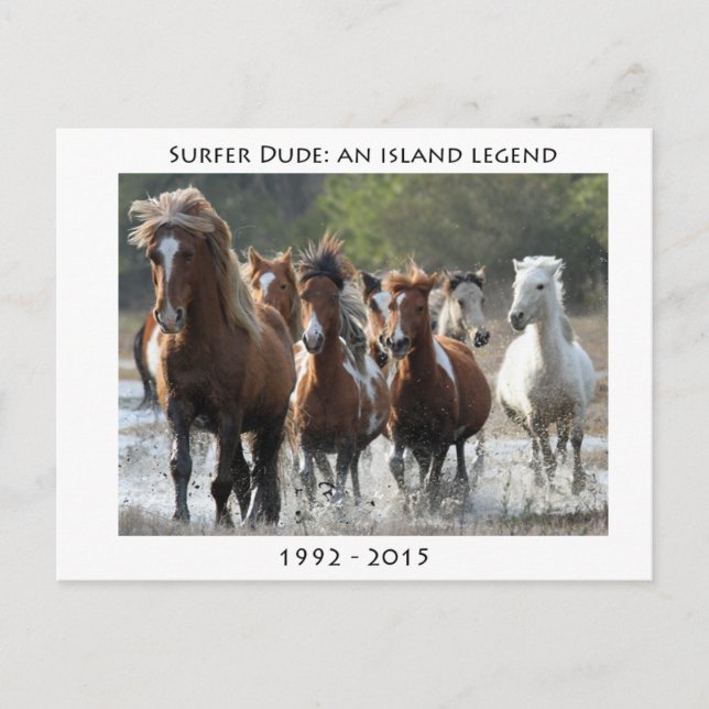 Postal Surfista Y Su Banda (Anverso)