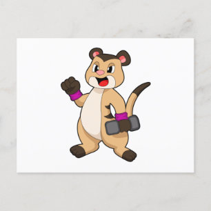 Postal Suricata con mancuerna