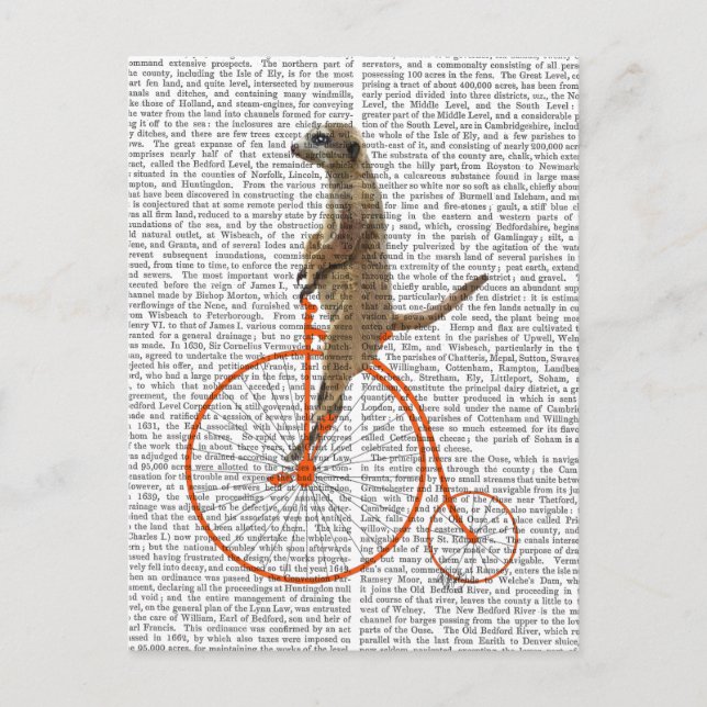 Postal Suricata en Orange Penny Farthing (Anverso)