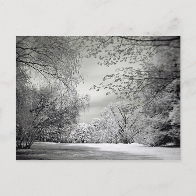 Postal Surreal color falso paisaje de primavera infrarroj (Anverso)