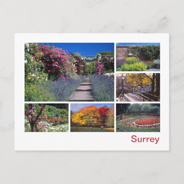 Postal Surrey (Anverso)