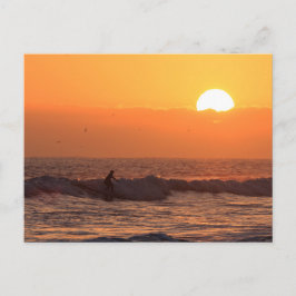 Postal Surtido de sol