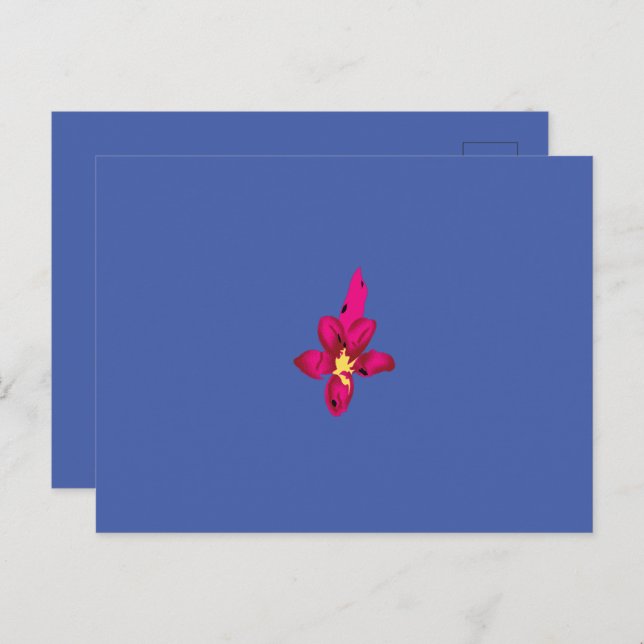 Postal Sus vacaciones en su bolsillo (Anverso / Reverso)