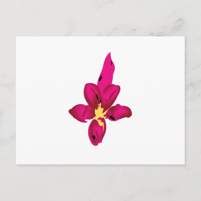 Postal Sus vacaciones en su bolsillo (Anverso)