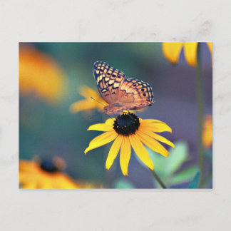Postal susán de ojos negros con mariposa 2