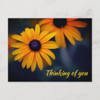 Susan Garden, una flor amarilla y negra que te ech