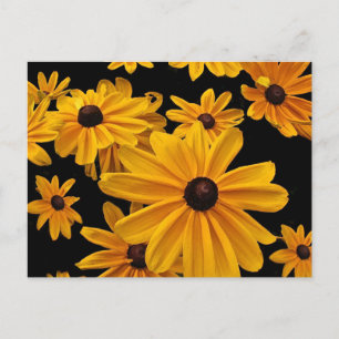 Postal Susan observada negro floral amarillo florece la