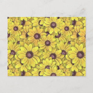 Postal Susans de ojos negros por todas partes