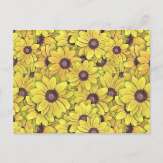 Postal Susans de ojos negros por todas partes