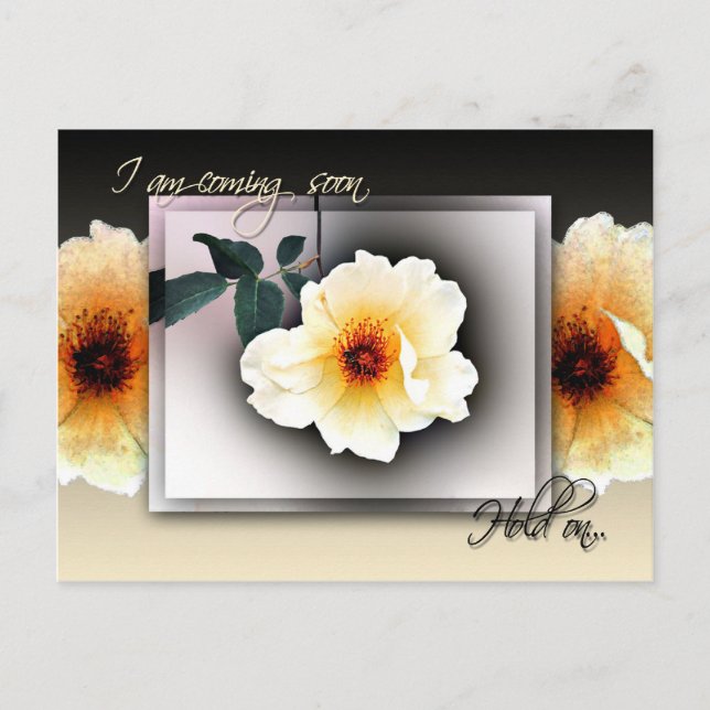 Postal Suspender (Anverso)