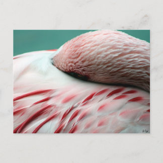 Postal Suspensión rápida