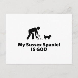 Postal Sussex Spaniel