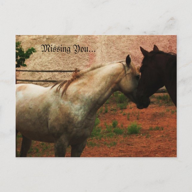 Postal Susurro suave. (Anverso)