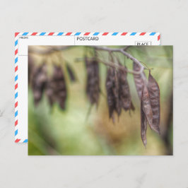 Postal Susurros de otoño: Serene Seed Pod