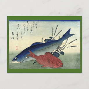 Postal Suzuki y Kimmedai - El pescado japonés de Hiroshig