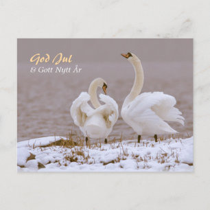 Postal Svanpar i nysnö CC0804 Julhälsning