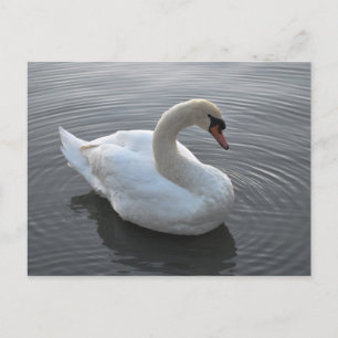 Postal Swan