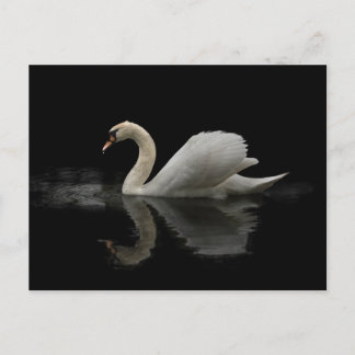 Postal Swan