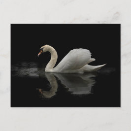 Postal Swan