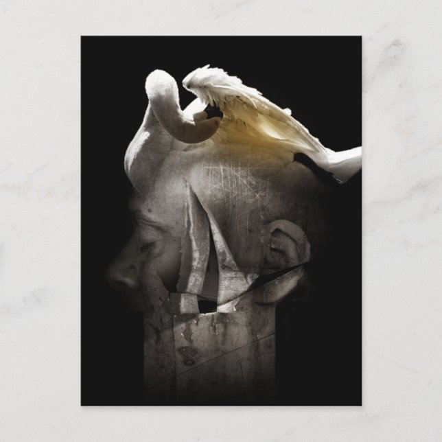 Postal Swan 2013 (Anverso)