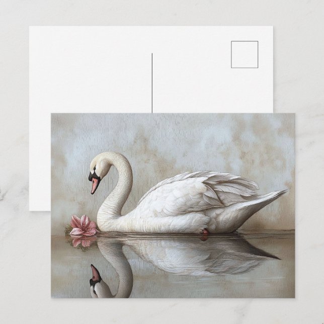 Postal Swan con pintura de flor rosa Rubor (Anverso / Reverso)