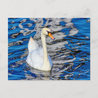 Postal Swan con reflexiones