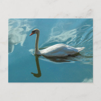 Postal Swan con reflexiones en la nube