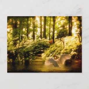 Postal Swan de ensueño